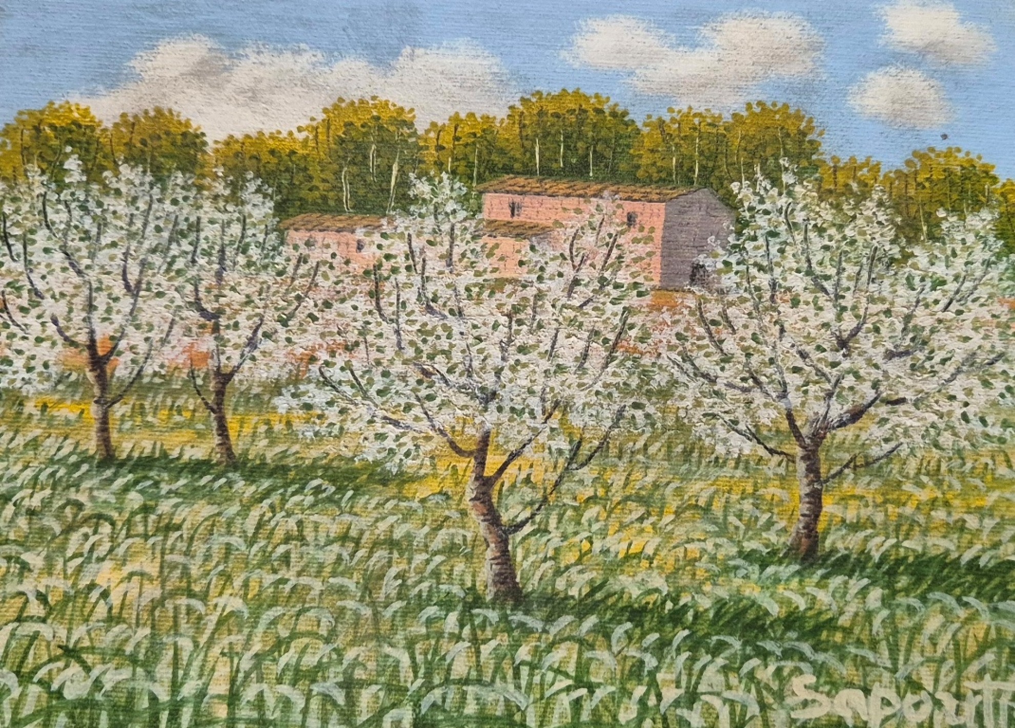 MARCO SAPORITI